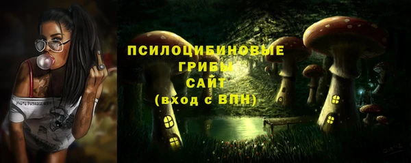 прущая мука Коряжма