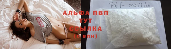 ECSTASY Корсаков