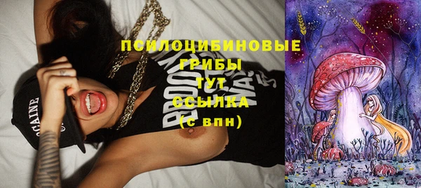 ECSTASY Корсаков
