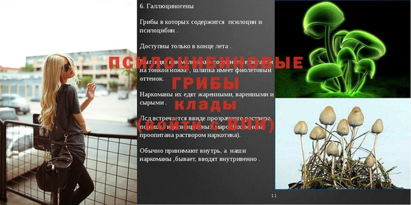 синтетический гашиш Костерёво