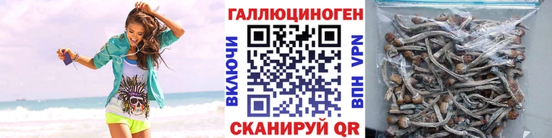 Купить закладки  Волжск  Галлюциногенные грибы мицелий 